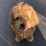 Jack Baur - @jackbaur2626 - Instagram