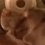 @jack_bayes8 - Instagram