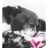 beaglejack1 - @beaglejack1 - TikTok