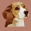 🐾𝕛𝕒𝕔𝕜🐾 - @beaglejack - TikTok