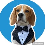 Jack J - The Beagle - @jackthehandsomebeagle - Instagram
