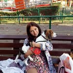 Jack - @jack_beagle__ - Instagram