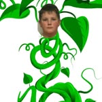 Jack And The Beanstalk - @jack_beanstalk_._ - Instagram