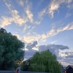 Jack Beanstalk - @beanstalkj - Instagram