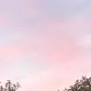 Jacknthebeanstalk - @jacki_ban0905 - TikTok