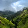 jeackbeansyalkk - @jackbeanstalkk - TikTok