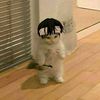 jack_bean_stock_ - @jack_bean_stock_ - TikTok