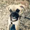 jack_bearr - @jack_bearr - TikTok