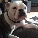 jack Beaumont - @jack_beaumont66 - Instagram