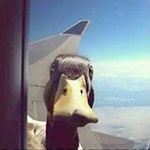 Jack Beaver - @jack8_8_05 - Instagram