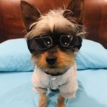 JackDanielsBechtold - @mrjdbechtold - Instagram