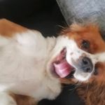 Jack Beckett - @jack.beckett - Instagram