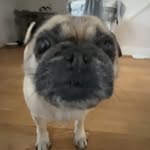 Jack Beddall - @jackspriv13 - Instagram