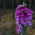 Jackbb - @jackbeebee9 - Instagram