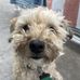 Jack Beecher - Facebook