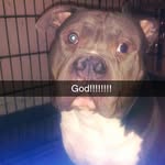 jackbeets - @jackbeets4 - Instagram