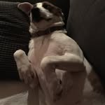 Jack Begg - @jackbegg0801 - Instagram