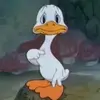 Jack Begonis - @jackbegogo - TikTok