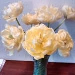 Sandra Jack - @jackbegonia - Instagram