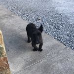 Jack Behan - @behanjack - Instagram