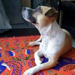 @jackbehlul - Instagram