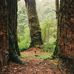 Jack Behrendt - Facebook