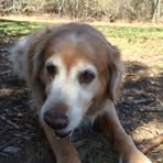 Jack Belisle - Facebook