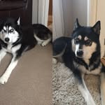 JackBelisle™️ - @belisle_55 - Instagram
