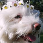 Jack Bellamy Snow - @jackbellamysnow - Instagram