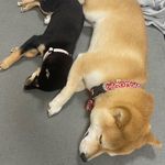 @jack.belle.0930 - Instagram