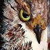 Jack Belle - Facebook