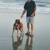 Jack Belles - @jack.belles - TikTok