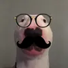 Jack Bellingham - @jackbellingham0 - TikTok