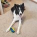 Jack Benge - Facebook