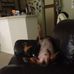 Jack Be Nimble - Facebook