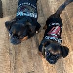 jack & bennie kobayashi - @bennie_and_the_jack - Instagram