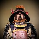 Dean Paquette - @jackbequickracing - Instagram