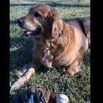 Jack Bergeron - @jack_daniel_bergeron - Instagram