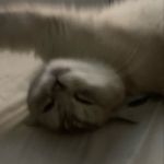 Jack Berggren - @jack_berggren4455 - Instagram