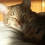 J4CK_B3RG1N - @jack_bergin__ - Instagram