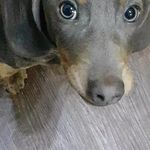 Jackbergin - @jack.bergin2005 - Instagram
