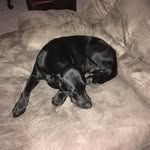 Jack Berns - @jack.berns2018 - Instagram