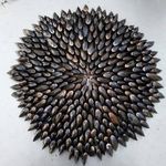 Jean Jack Berteau - @jeanjackberteau - Instagram