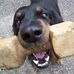 Jack Besen - Facebook
