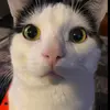 jackis.better - @jackis.better - TikTok