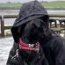 Jack Betts - Facebook