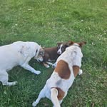 jack bible - @jackb92108 - Instagram