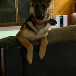 Jackie Morgan Biederman - @baileysnitch - Instagram