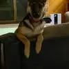 Jackie Morgan Biederman - @jackie.morgan.bie - TikTok