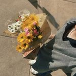 Jack Bieringer - @jackbieringer - Instagram
